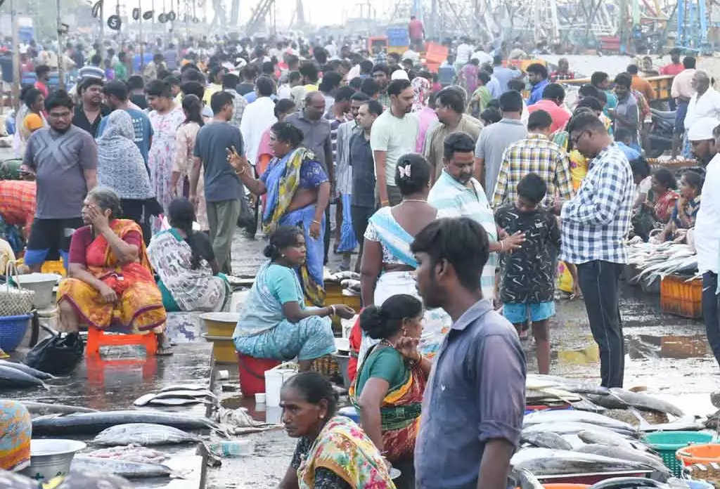 மீன்பிடி தடைகாலம் இன்று நள்ளிரவு முதல் அமல்!