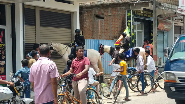 குதிரையை கொண்டு ரணிலுக்காக பிரச்சாரம் செய்யும் அதாவுல்லாஹ்: மக்களை கவர்ந்திழுக்க முயற்சி